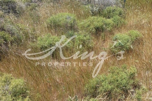 Foto - Grundstück Land Kaufen, , Acharnes (Athen West),