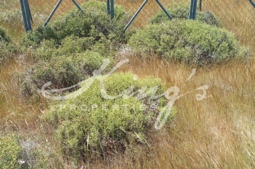 Foto - Grundstück Land Kaufen, , Acharnes (Athen West),