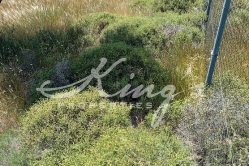 Foto - Grundstück in 