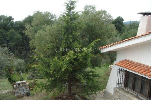 Foto - Einfamilienhaus in zum Kaufen