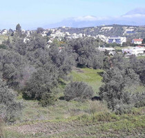 Grundstück Land Kaufen, , Moires (Heraklion Präfektur),