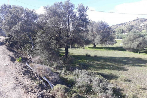 Foto - Grundstück zum Kaufen in 