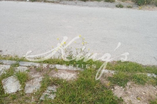 Foto - Grundstück Land Kaufen, , Acharnes (Athen West),