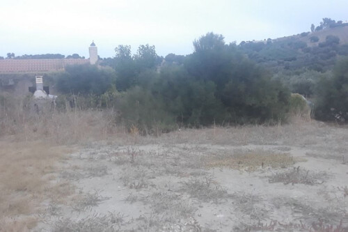 Foto - Grundstück zum Kaufen in 