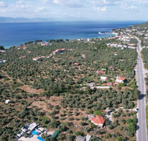 Grundstück Land Kaufen, , Thasos (Kavala Präfektur),