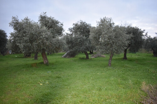 Foto - Grundstück zum Kaufen in 