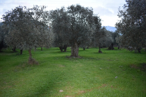 Foto - Grundstück in 