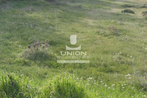 Foto - Grundstück Land Kaufen, , Koropi (Athen Ost),