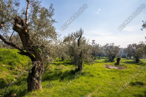 Foto - Grundstück zum Kaufen in 
