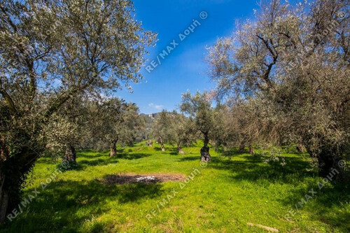 Foto - Grundstück in 