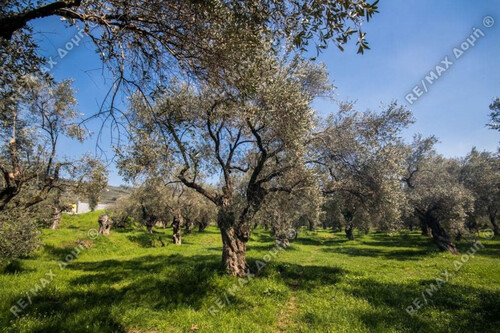 Foto - Grundstück in zum Kaufen