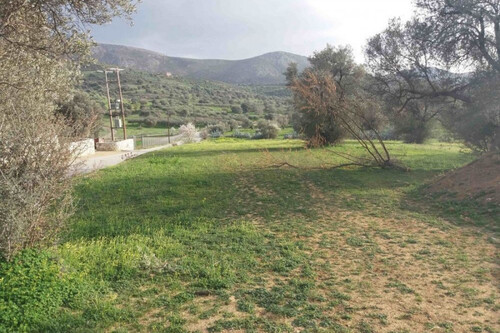 Foto - Grundstück Land Kaufen, , Moires (Heraklion Präfektur),