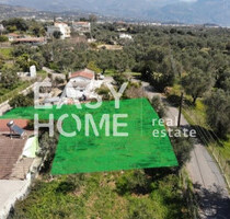 Grundstück Land Kaufen, , Kalamata (Messinia),