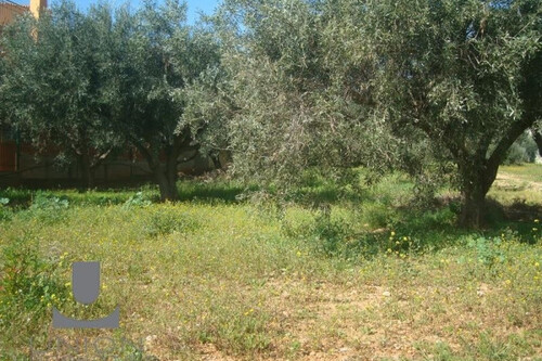 Foto - Grundstück zum Kaufen in 