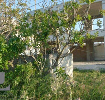 Grundstück Land Kaufen, , Kalyvia Thorikou (Attika - Restliche Gemeinden),