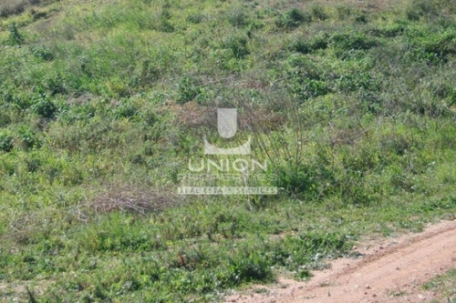 Foto - Grundstück Land Kaufen, , Koropi (Athen Ost),