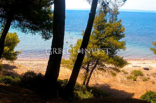 Foto - 11 Zimmer Einfamilienhaus in 