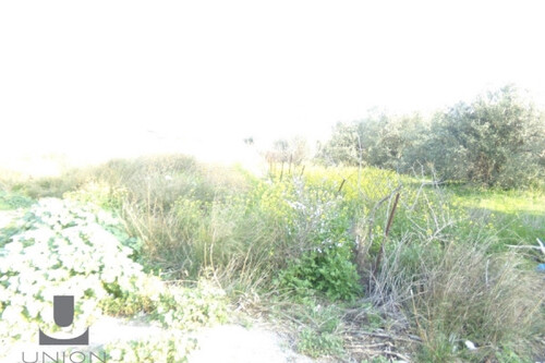 Foto - Grundstück zum Kaufen in 