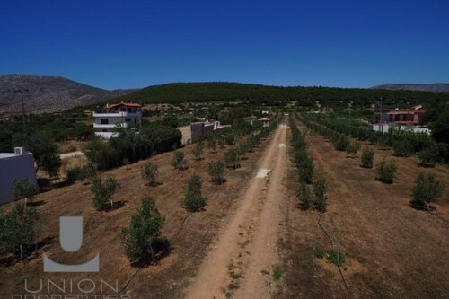 Foto - Grundstück Land Kaufen, , Anavyssos (Attika - Restliche Gemeinden),