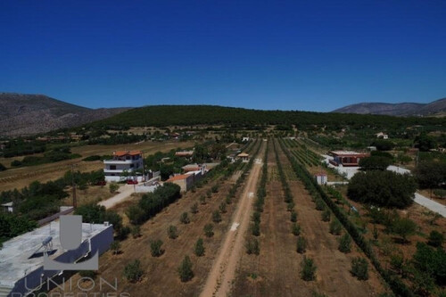 Foto - Grundstück in 