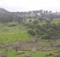 Grundstück Land Kaufen, , Moires (Heraklion Präfektur),