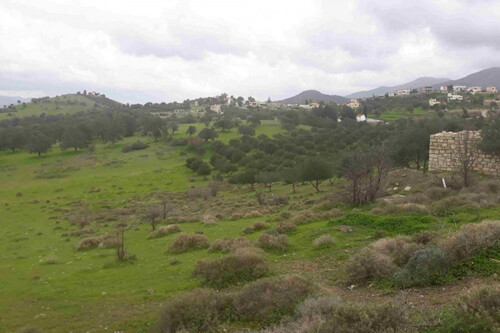 Foto - Grundstück in zum Kaufen