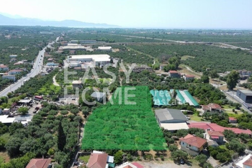 Foto - Grundstück Land Kaufen, , Thouria (Messinia),