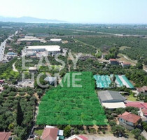 Grundstück Land Kaufen, , Thouria (Messinia),