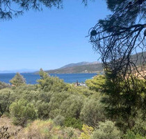 Grundstück Land Kaufen, , Marmari (Euböa),