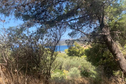 Foto - Grundstück in zum Kaufen