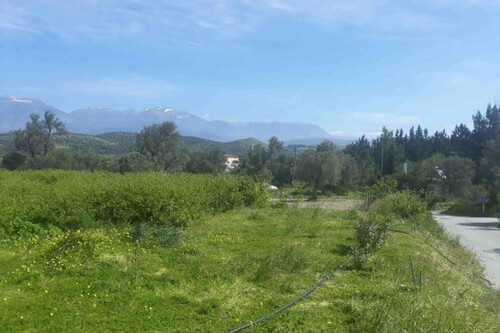 Foto - Grundstück zum Kaufen in 