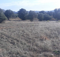 Grundstück Land Kaufen, , Moires (Heraklion Präfektur),