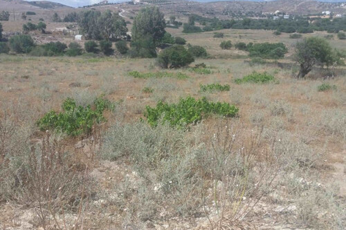 Foto - Grundstück in 