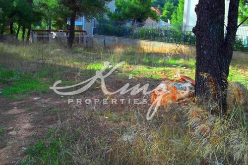 Foto - Grundstück in 