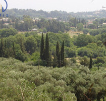 Grundstück Land Kaufen, , Korfu-Stadt (Korfu Präfektur),