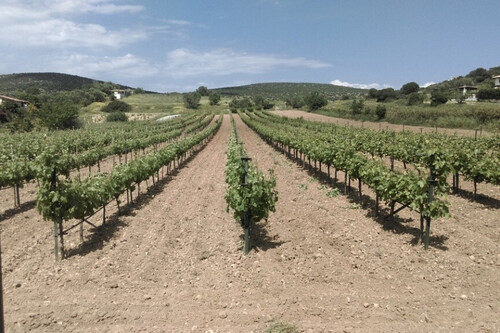Foto - 9 Zimmer Einfamilienhaus zum Kaufen in 