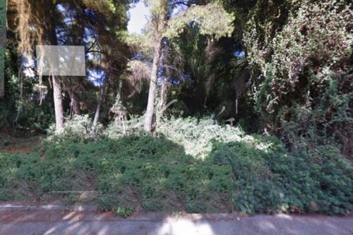 Foto - Grundstück Land Kaufen, , Ekali (Athen Nord),