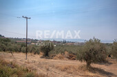 Foto - Grundstück Land Kaufen, , Artemida (Pilio),