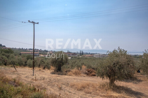 Foto - Grundstück Land Kaufen, , Artemida (Pilio),