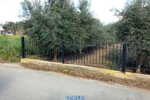 Foto - Grundstück Land Kaufen, , Elos (Lakonia),