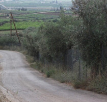 Grundstück Land Kaufen, , Vocha (Korinthia),