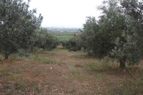 Foto - Grundstück in 