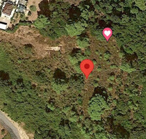 Grundstück Land Kaufen, , Kassandra (Chalkidiki),