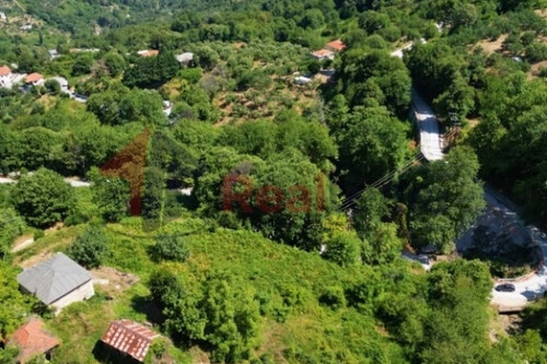 Foto - Grundstück Land Kaufen, , Mouresi (Pilio),