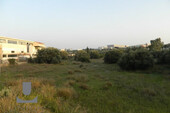 Foto - Grundstück Land Kaufen, , Koropi (Athen Ost),