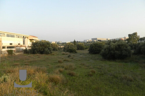 Foto - Grundstück Land Kaufen, , Koropi (Athen Ost),