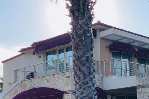 Foto - 6 Zimmer Einfamilienhaus in 