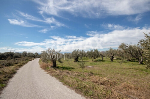 Foto - Grundstück in 