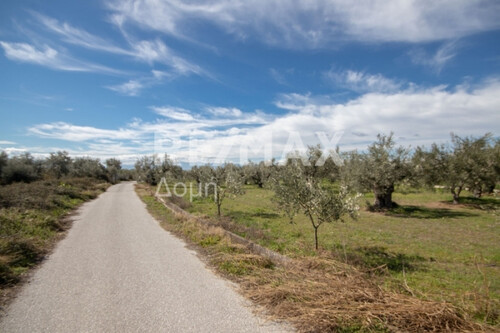 Foto - Grundstück in zum Kaufen