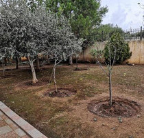 Haus Kaufen, , Anavyssos (Attika - Restliche Gemeinden),